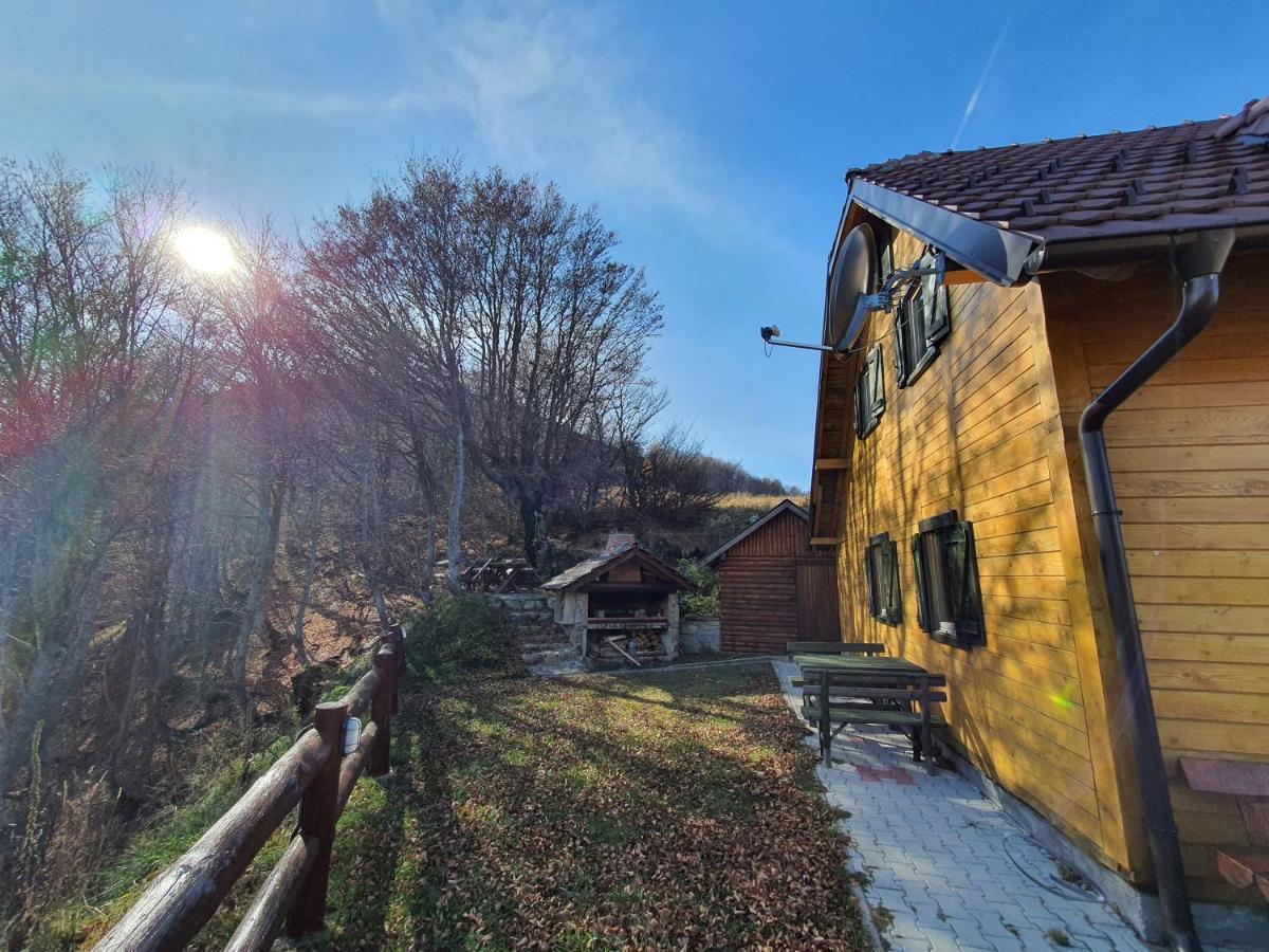 Vikendica Vila Despotovic Villa Kopaonik Exterior photo