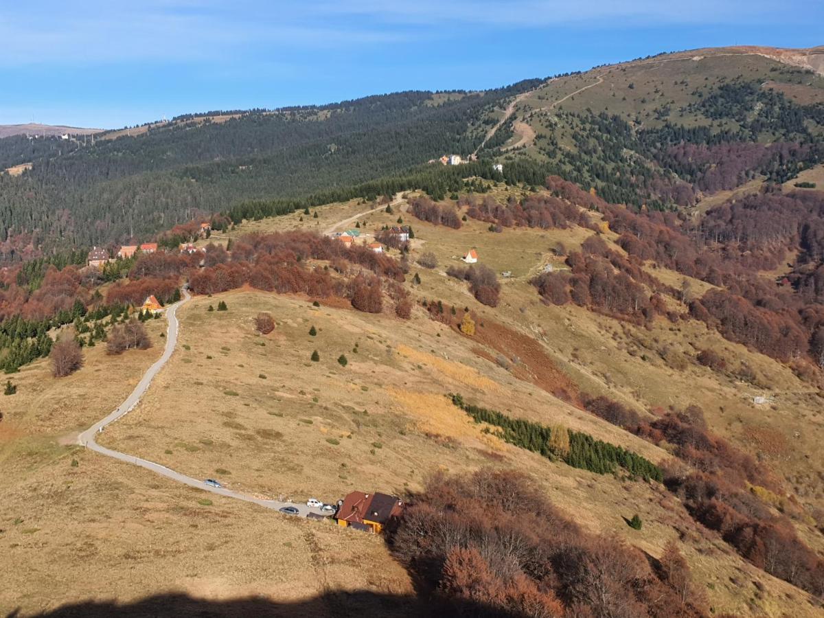 Vikendica Vila Despotovic Villa Kopaonik Exterior photo