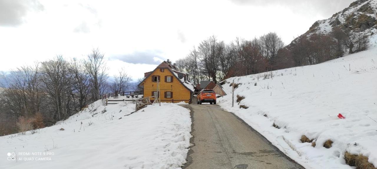 Vikendica Vila Despotovic Villa Kopaonik Exterior photo