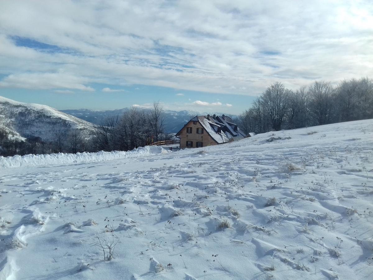 Vikendica Vila Despotovic Villa Kopaonik Exterior photo