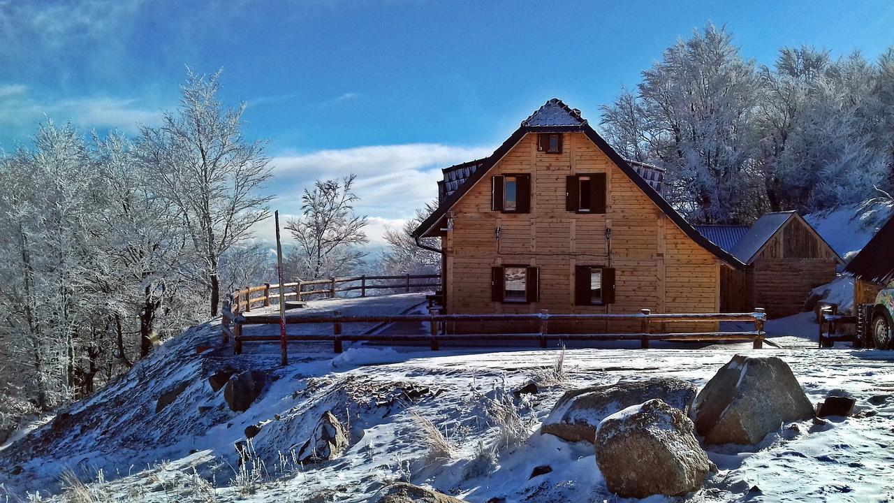 Vikendica Vila Despotovic Villa Kopaonik Exterior photo