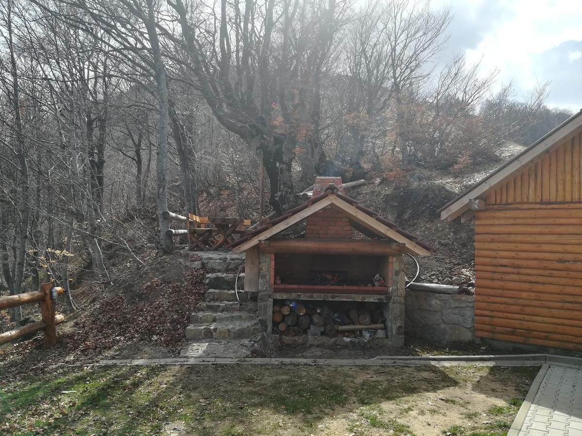 Vikendica Vila Despotovic Villa Kopaonik Exterior photo