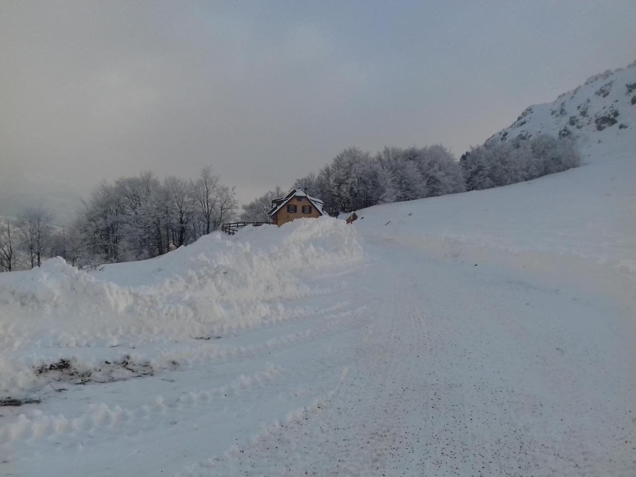 Vikendica Vila Despotovic Villa Kopaonik Exterior photo