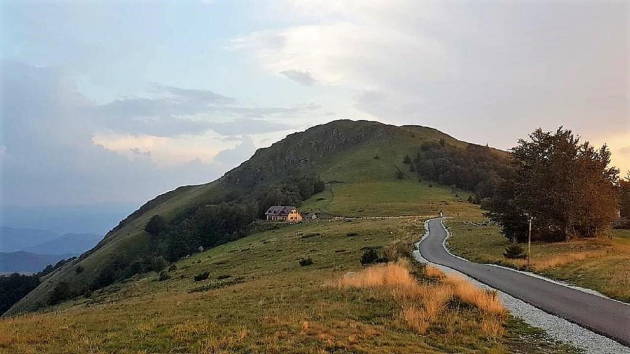 Vikendica Vila Despotovic Villa Kopaonik Exterior photo